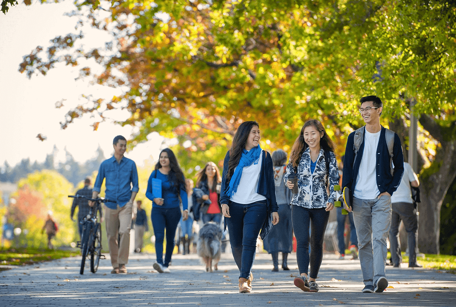 students walking on a pathway talking to each other