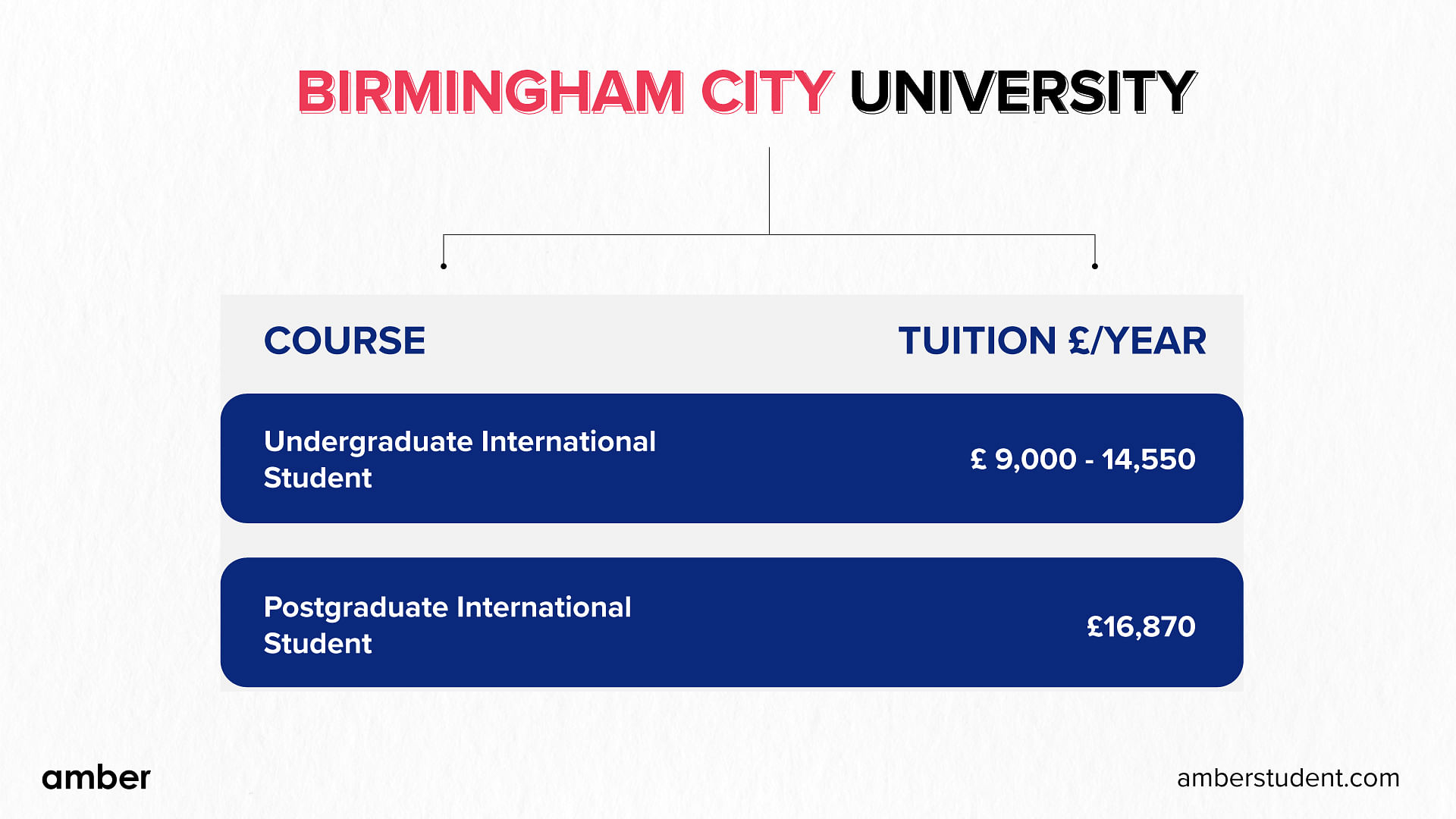 Birmingham City University