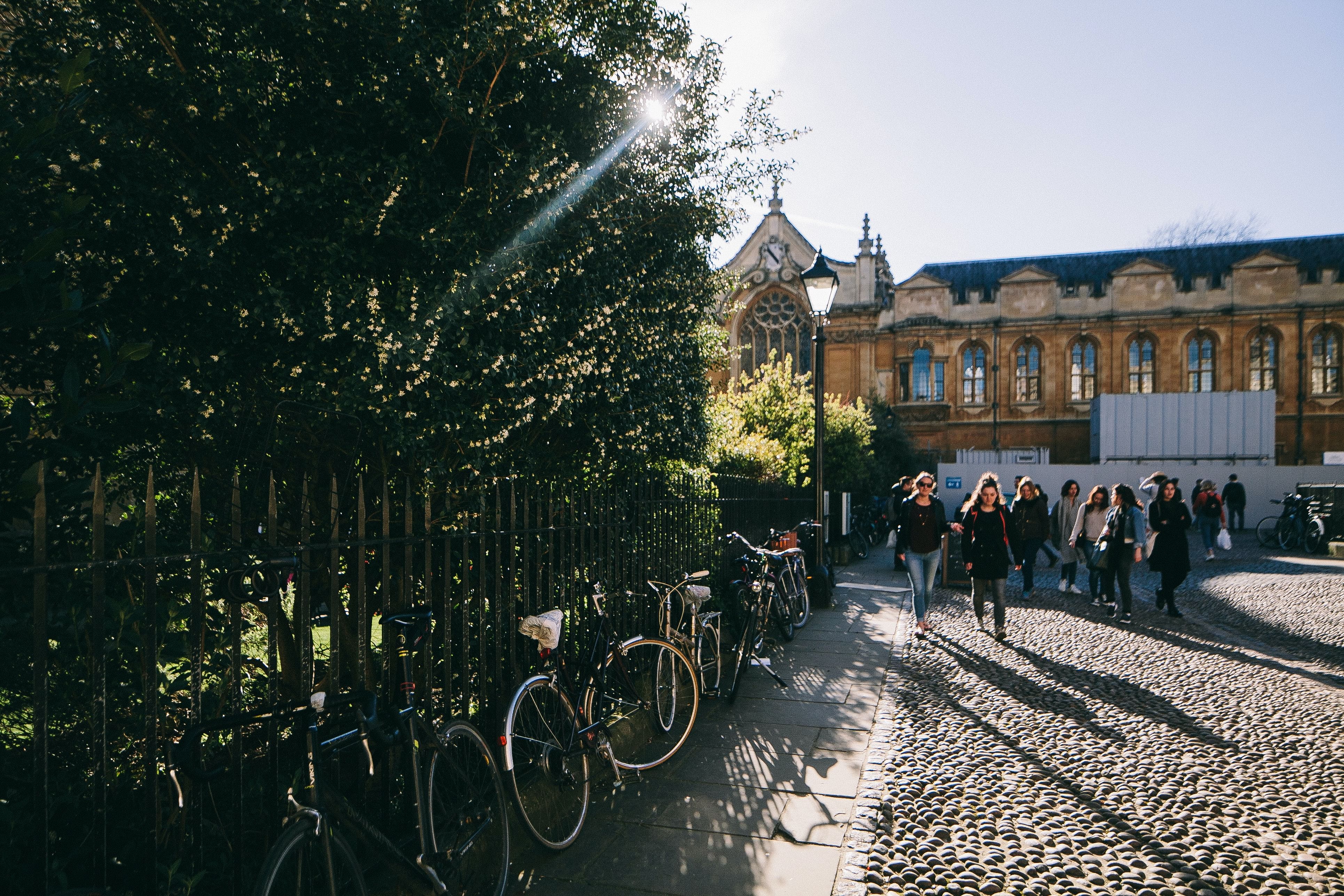 University of Oxford Acceptance Rate and Strategies