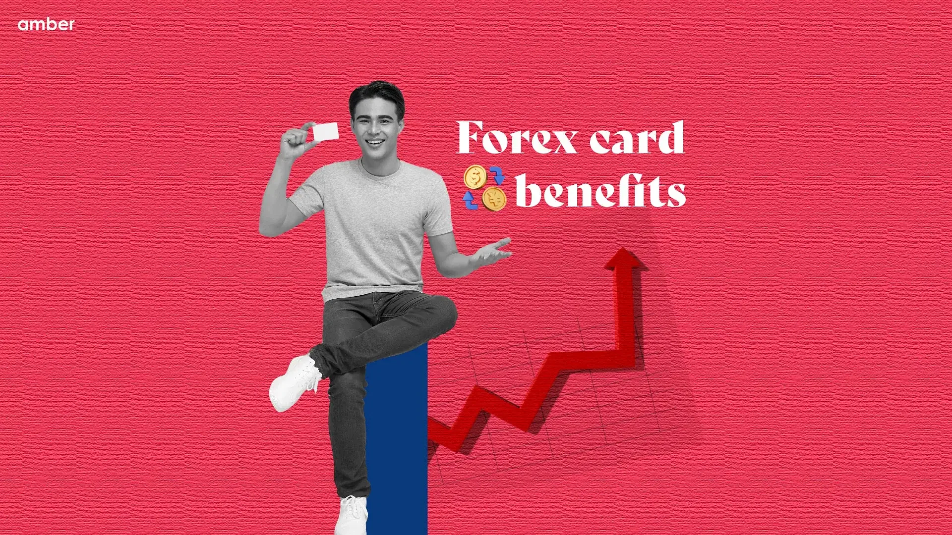 12 Best Forex Cards for Students in 2024