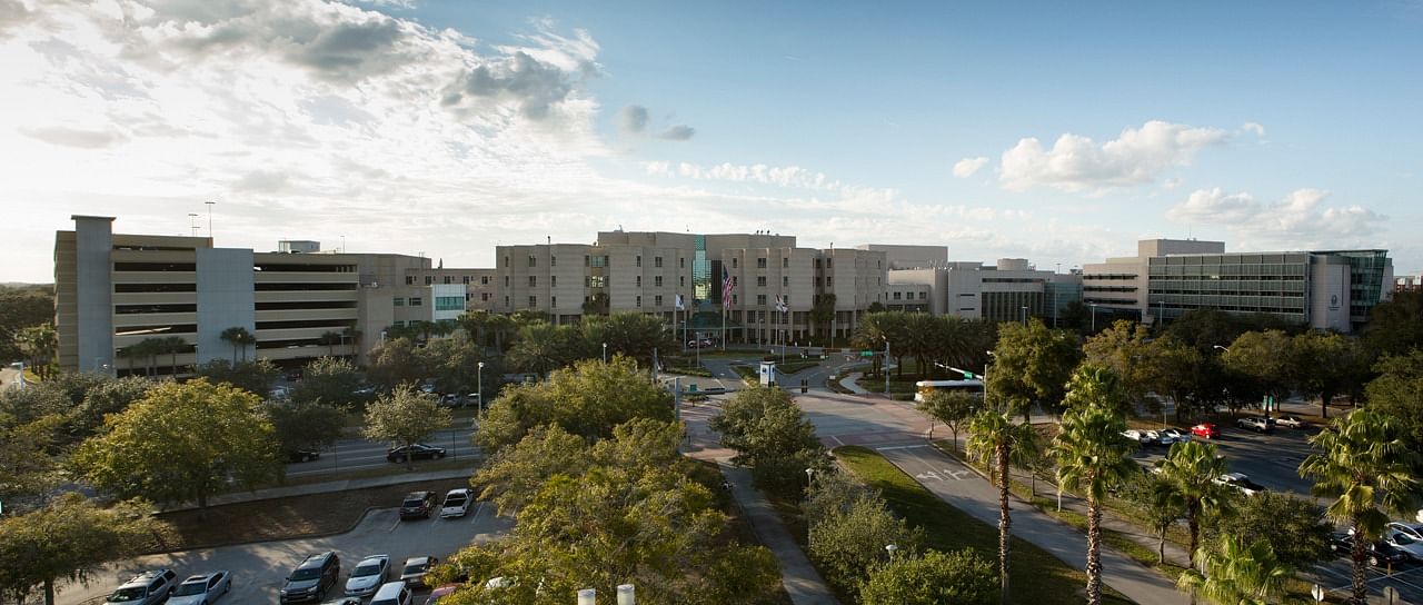 University of South Florida Courses 2025: Programs, Fees & Tips