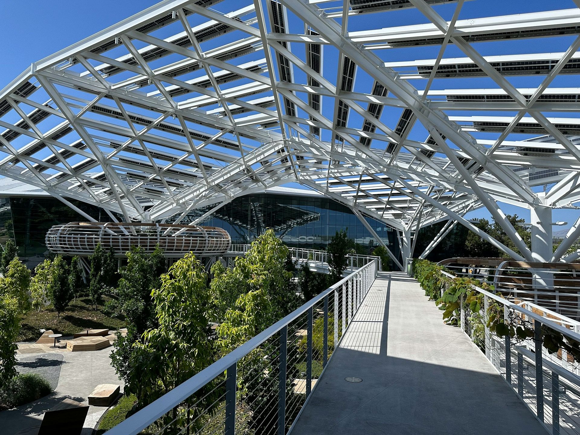 Santa Clara University: Tuition, Programs, Admissions, Campus Life & More