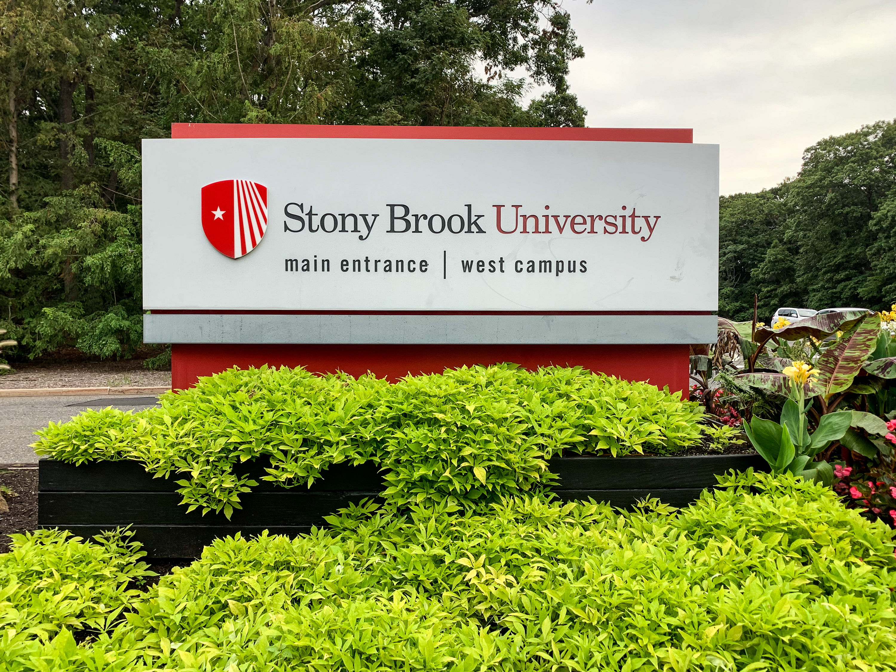 Stony Brook University | Your Guide to Getting Accepted