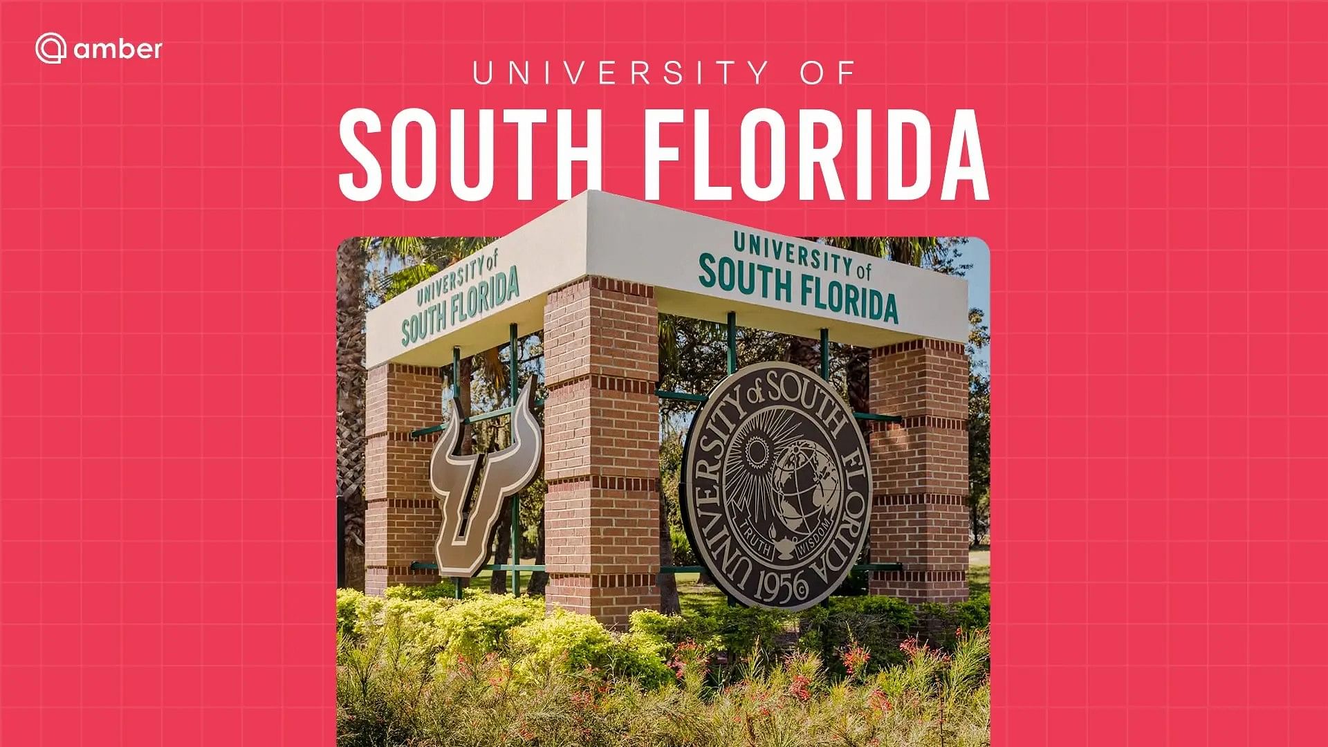 University of South Florida Admissions, Rankings, and Scholarships