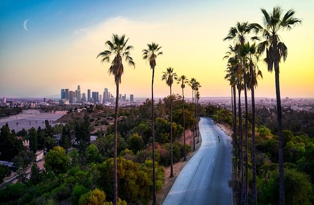 American Film Institute Conservatory: Admissions and Film Programs