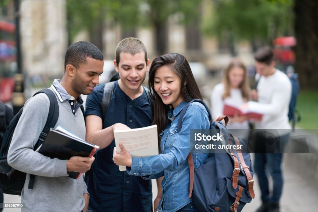 Touro University: Course, Fees, and Rankings