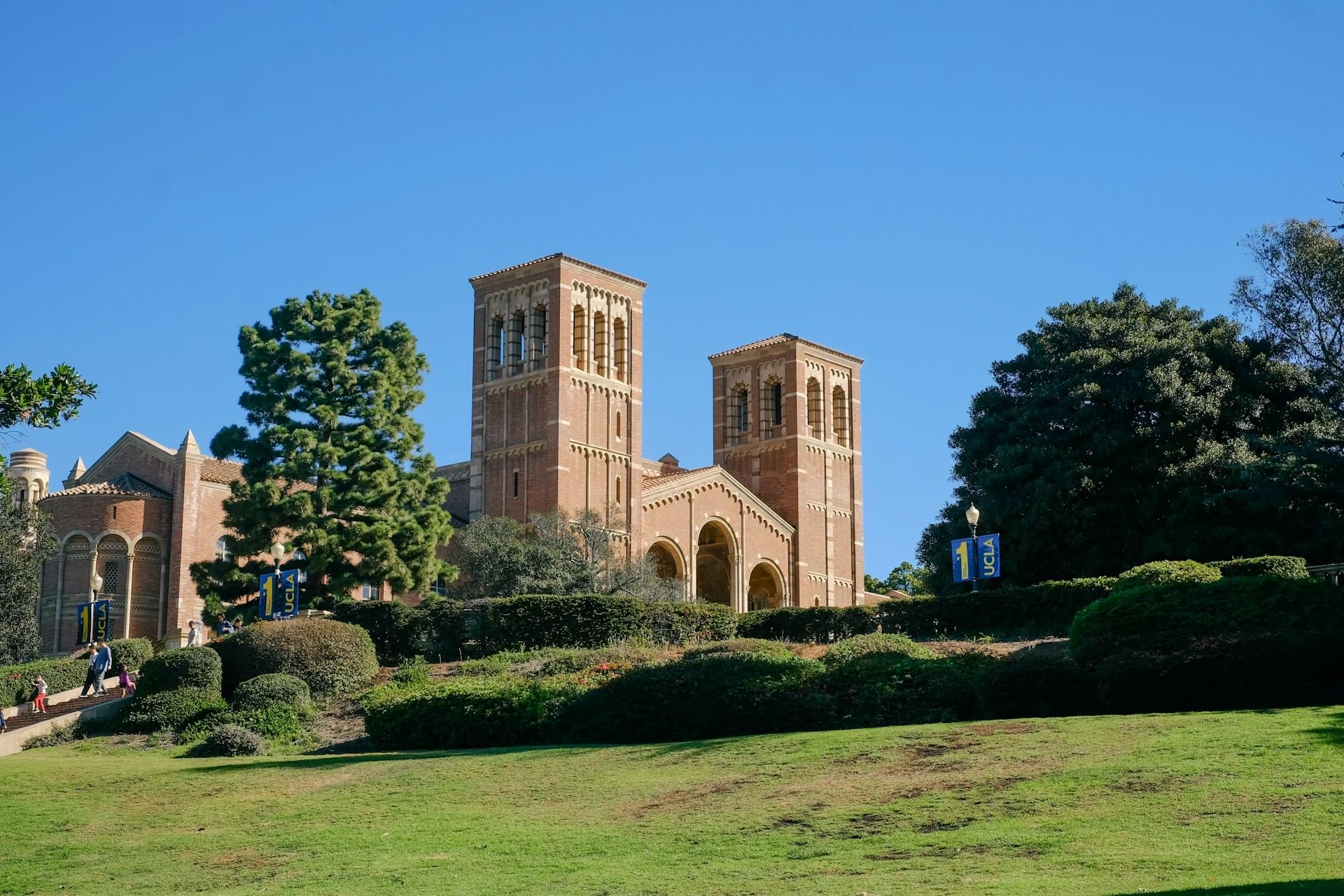 University of California LA