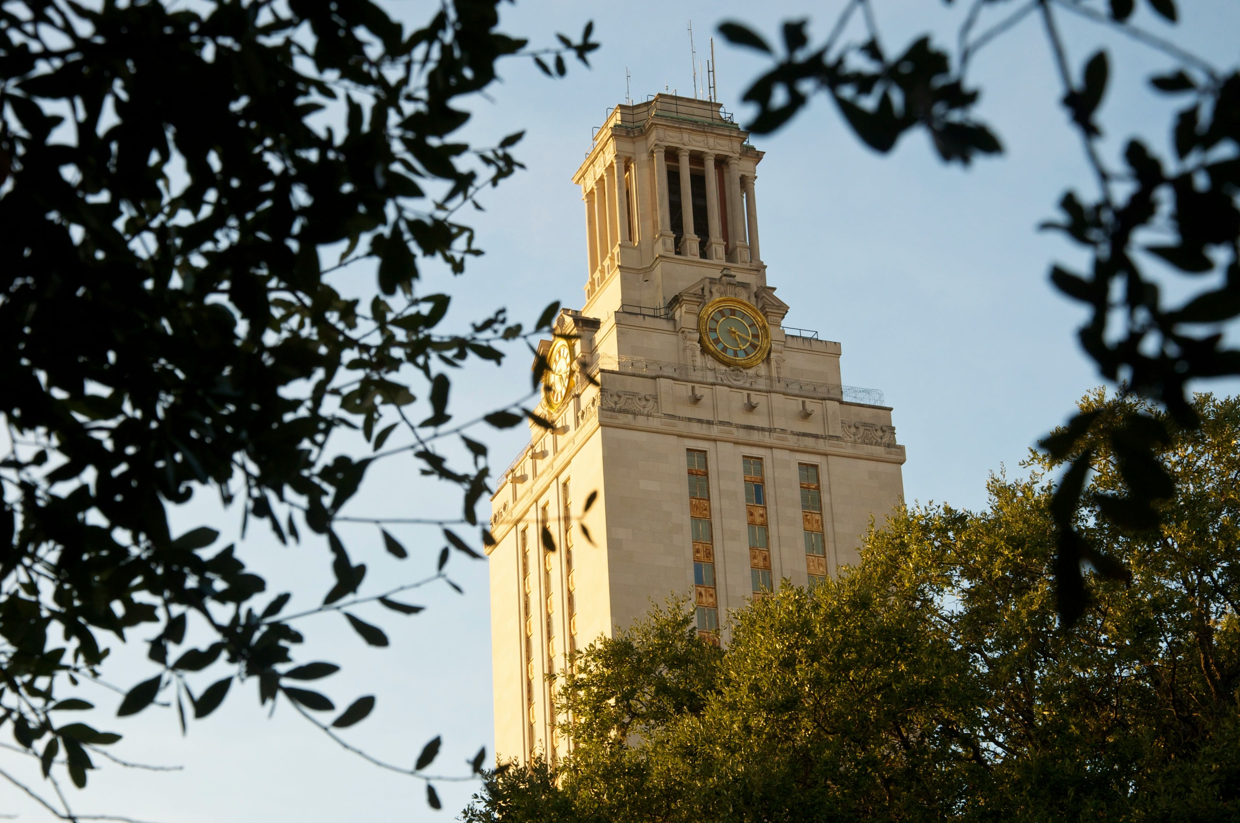 Top Universities in Texas