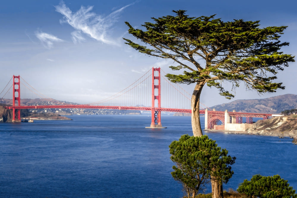 Top 7 Dangerous Neighborhoods In San Francisco 2025